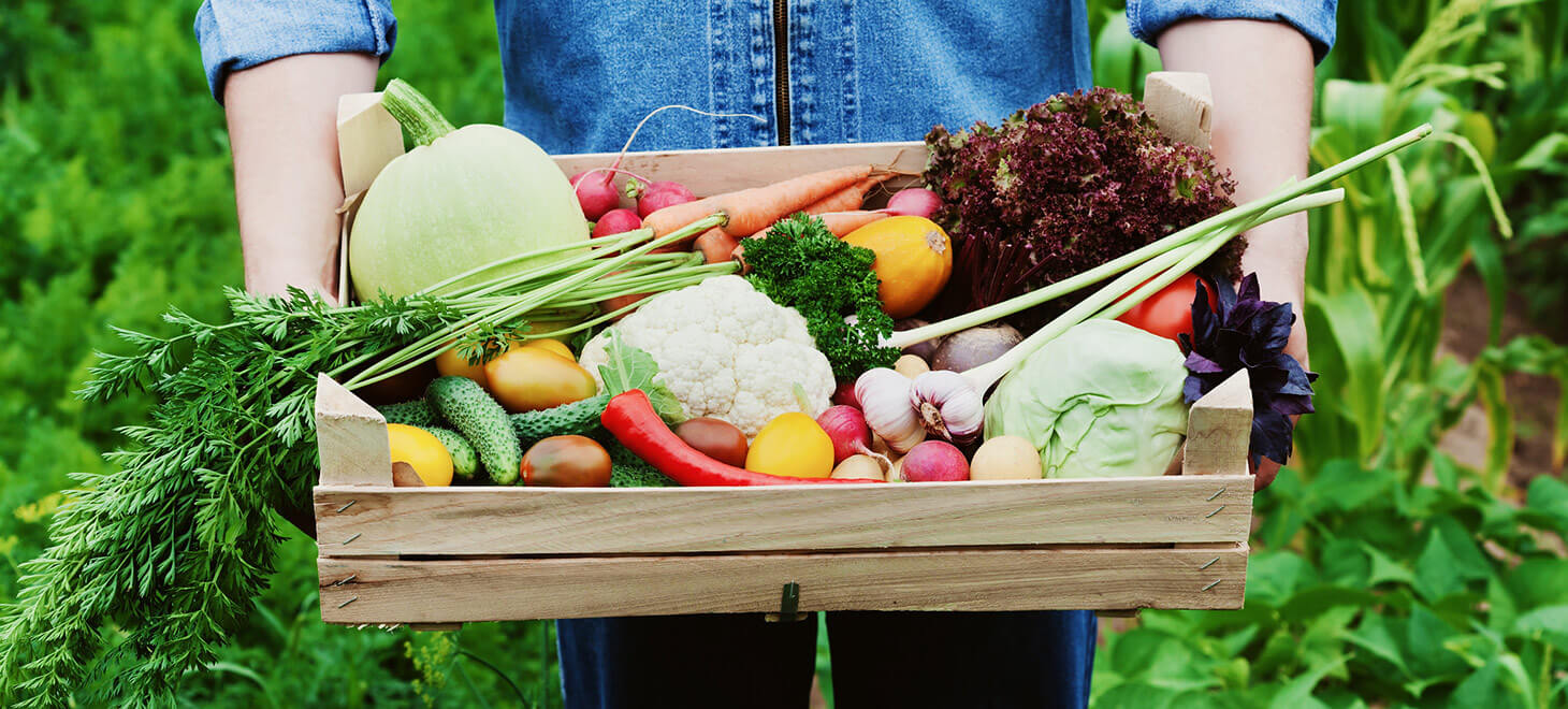 Farmer holding a box of fresh produce