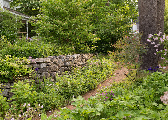 The garden at our Castine, Maine B&B