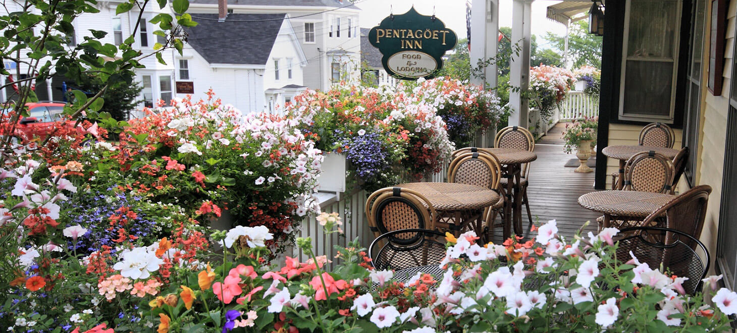 Flowers in bloom at our Maine bed and breakfast