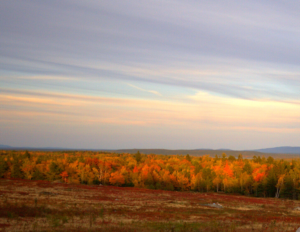 Best Places To See Fall Foliage On The Coast Of Maine Pentag et Inn