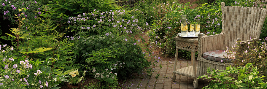 Maine Inn Garden with Refreshing Drinks and a Chair