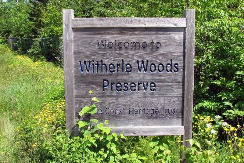 Witherle Woods Preserve