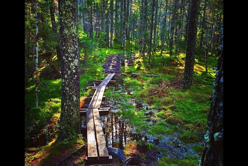 Discover Barred Island Preserve - Pentagöet Inn